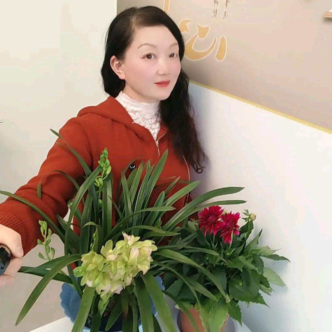 梦境