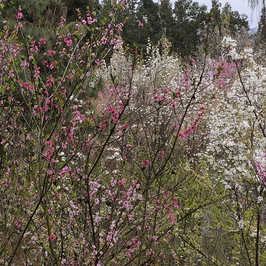 何必在乎那么多