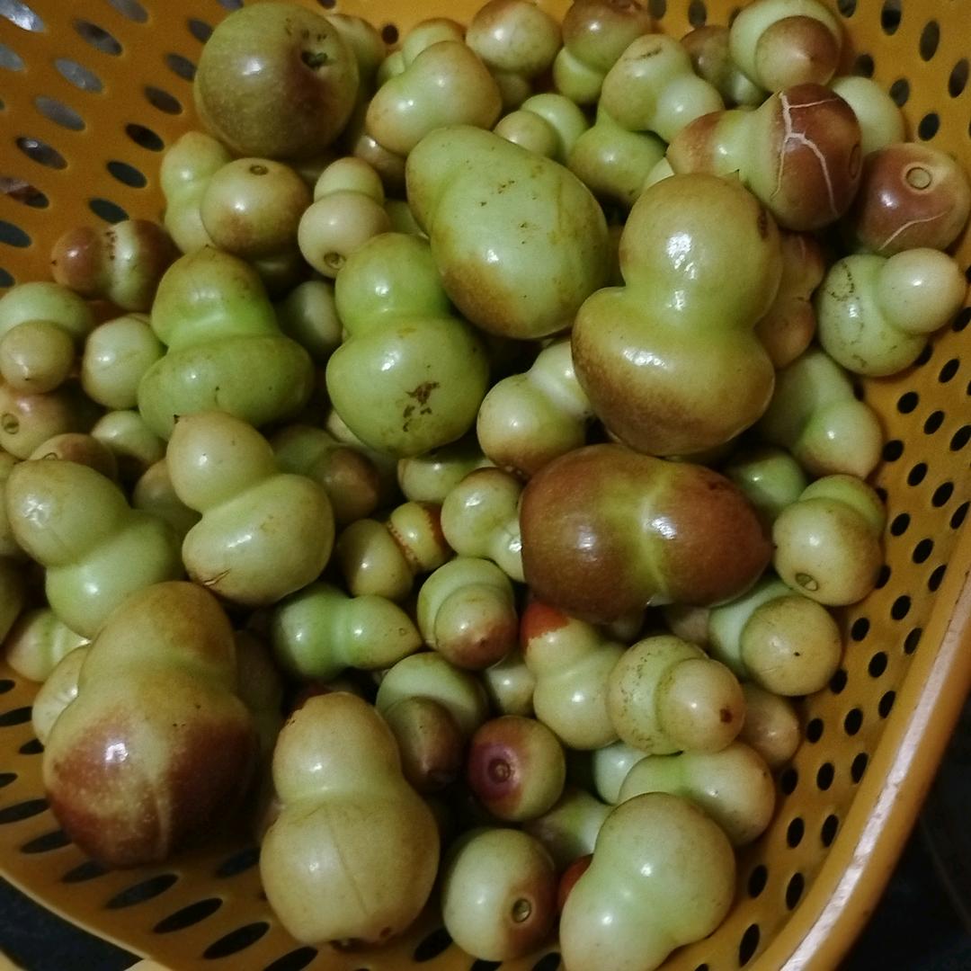 搞钱💰大叔💞🤞