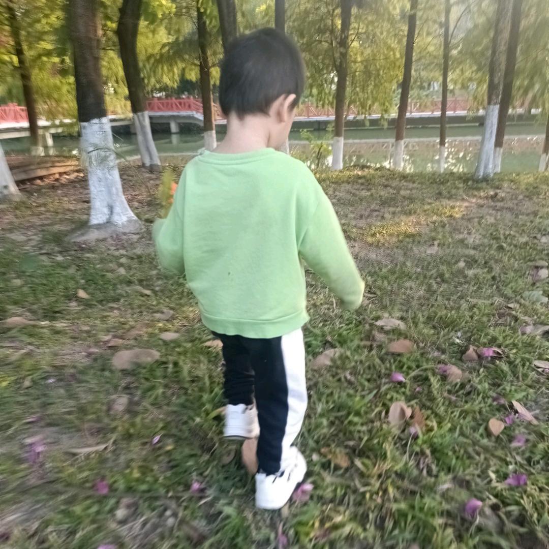 幸胡易生