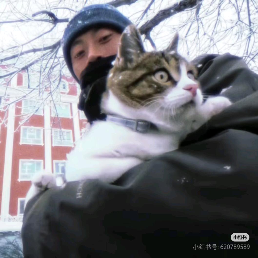 𝓕𝓸𝓻 𝓛𝓐𝓒