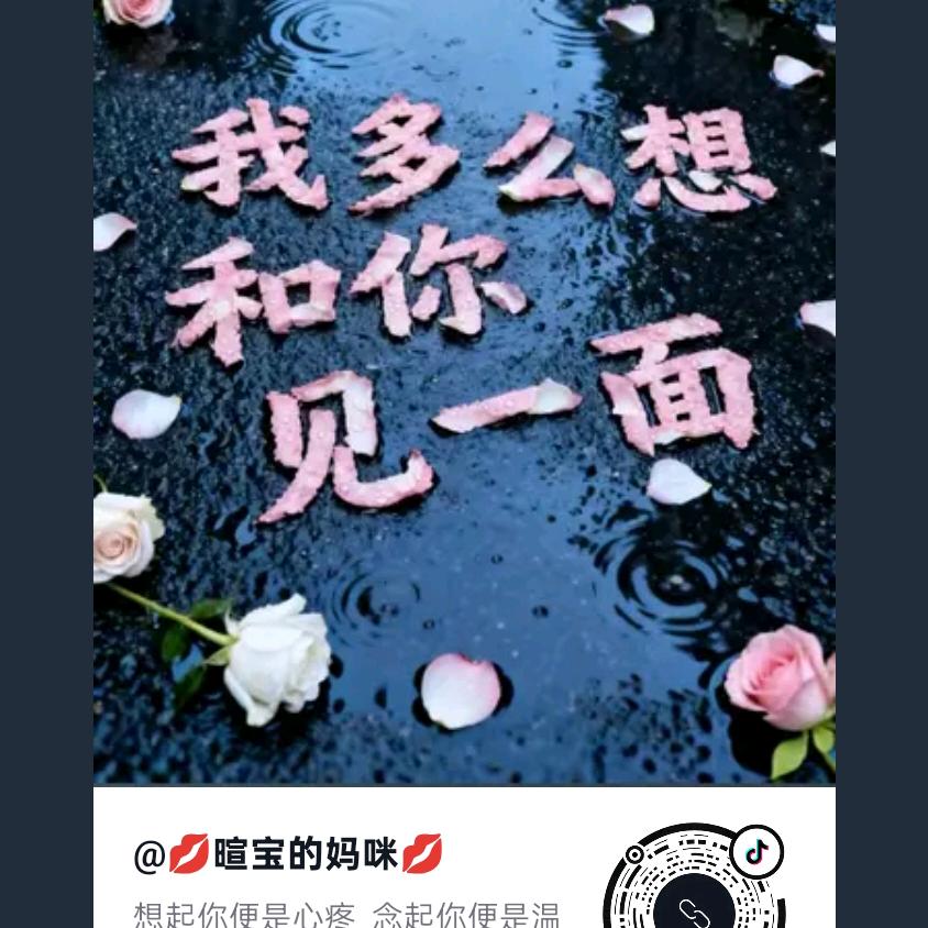 樊曦
