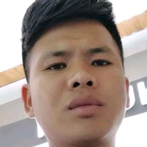 金鱼爱上忘记