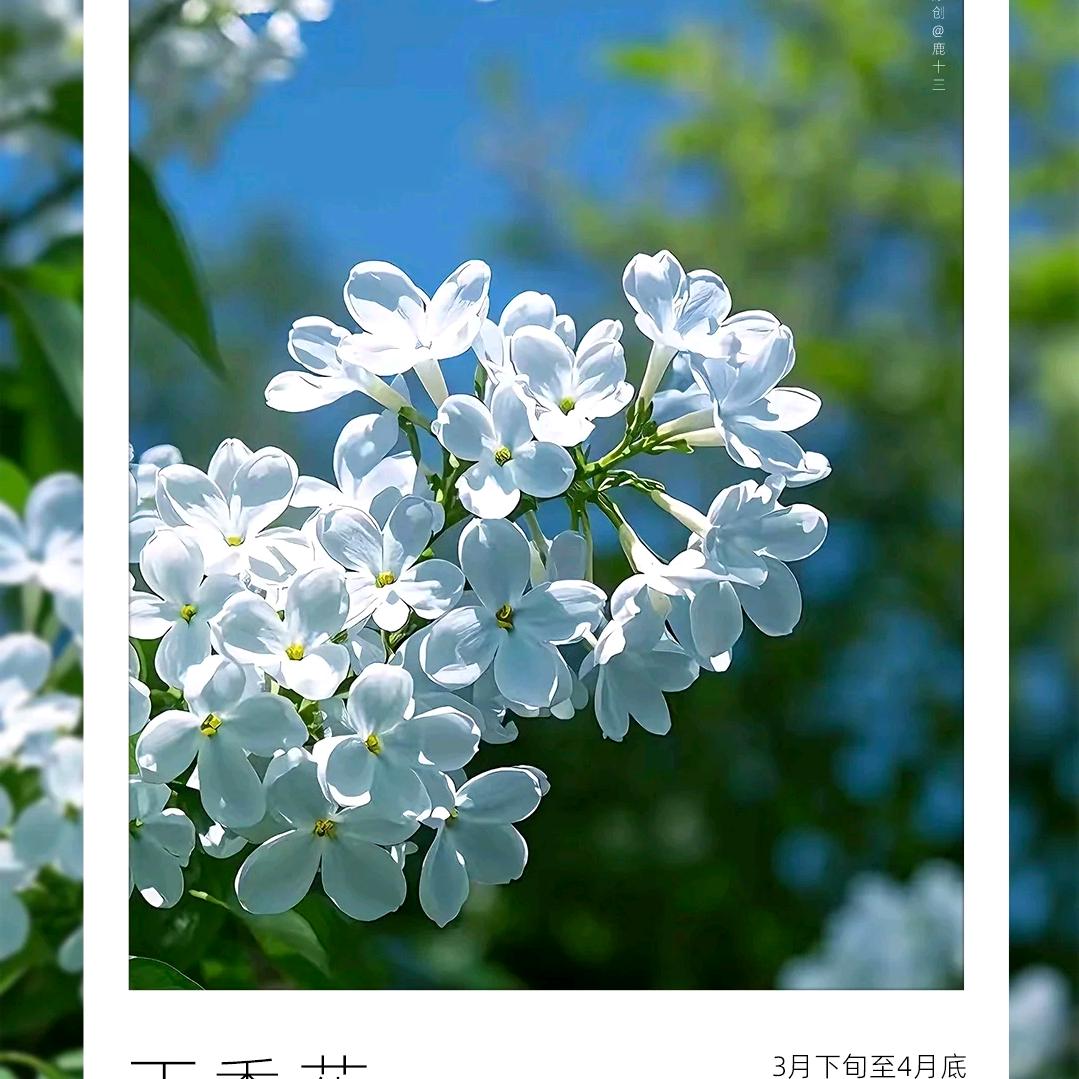 奥莱折扣店❤️