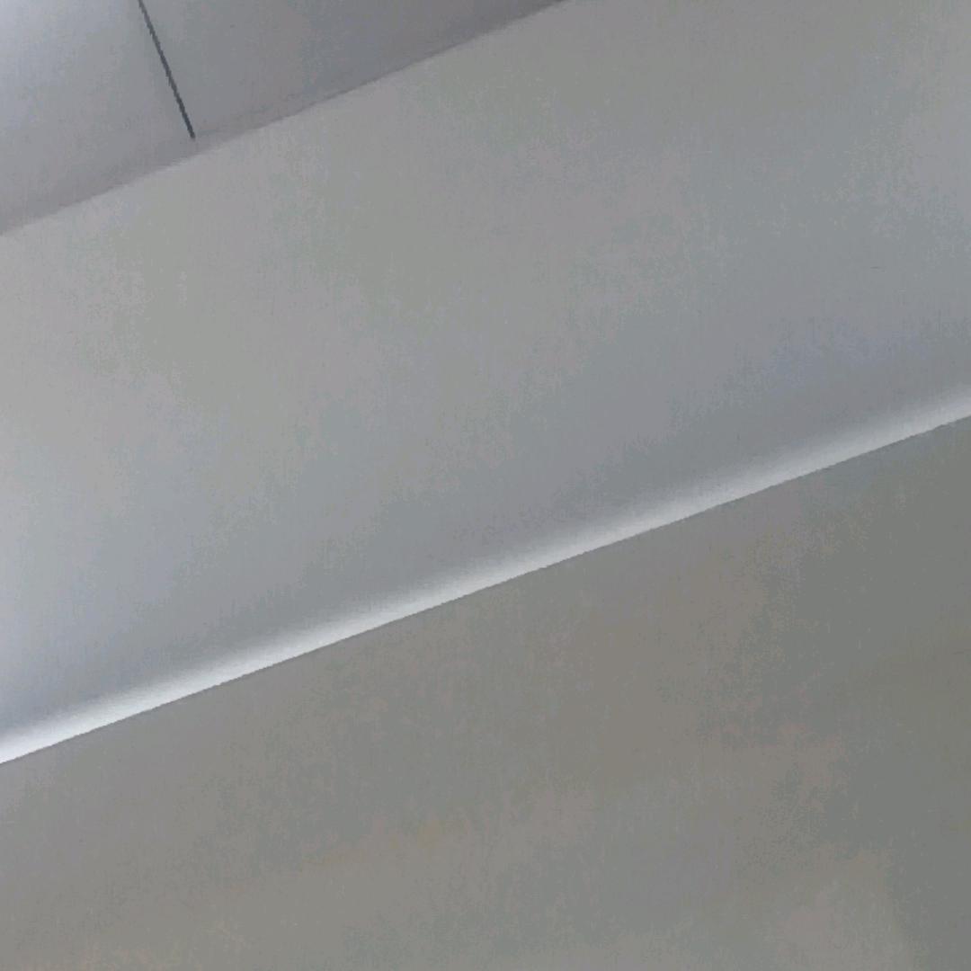 花向阳而生