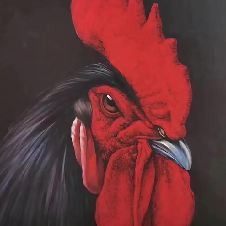 我们是什么族——余额不族