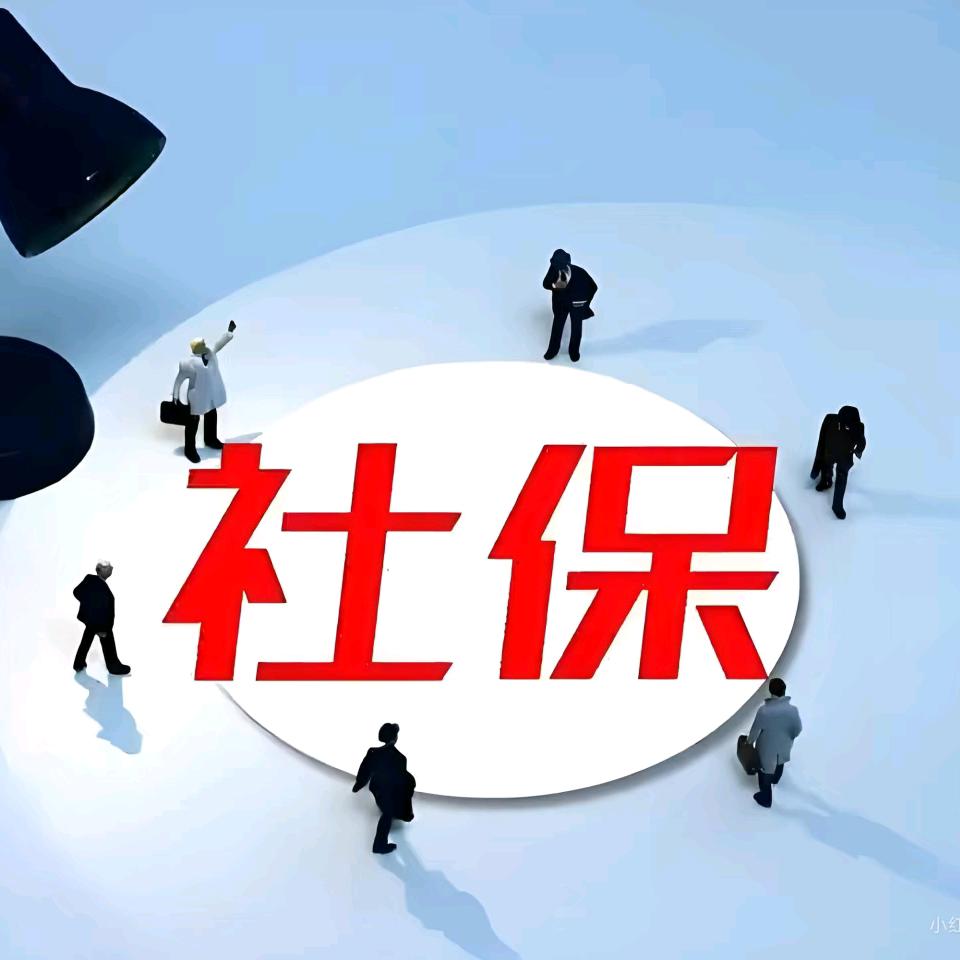河南社保普及(社保规划)