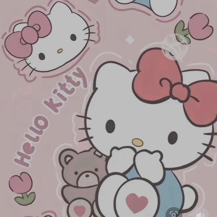 Kitty猫