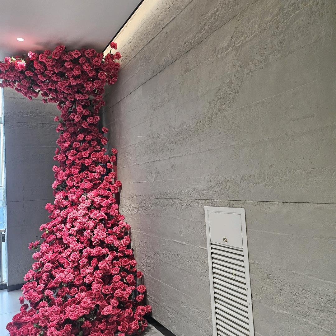 哈哈哈哈哈我来了