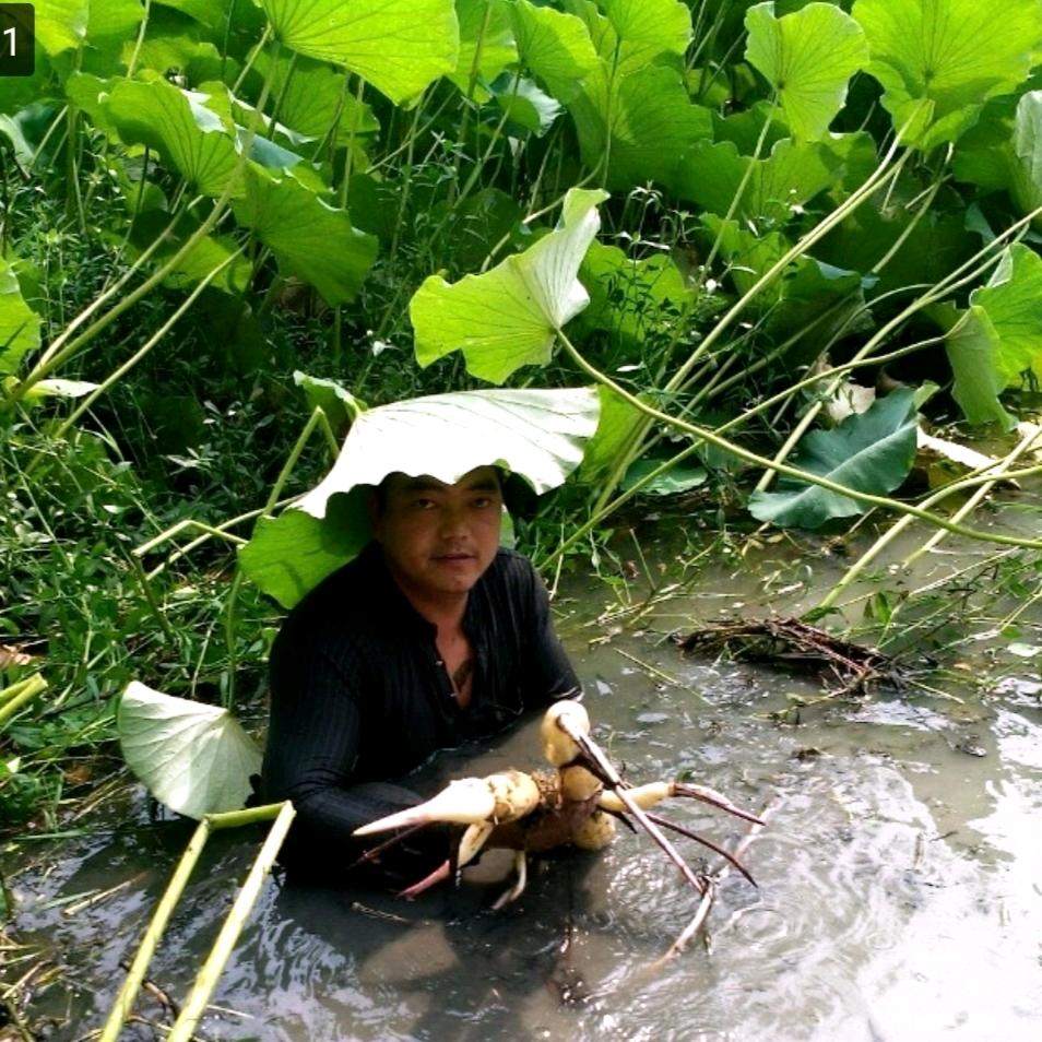 教练保哥