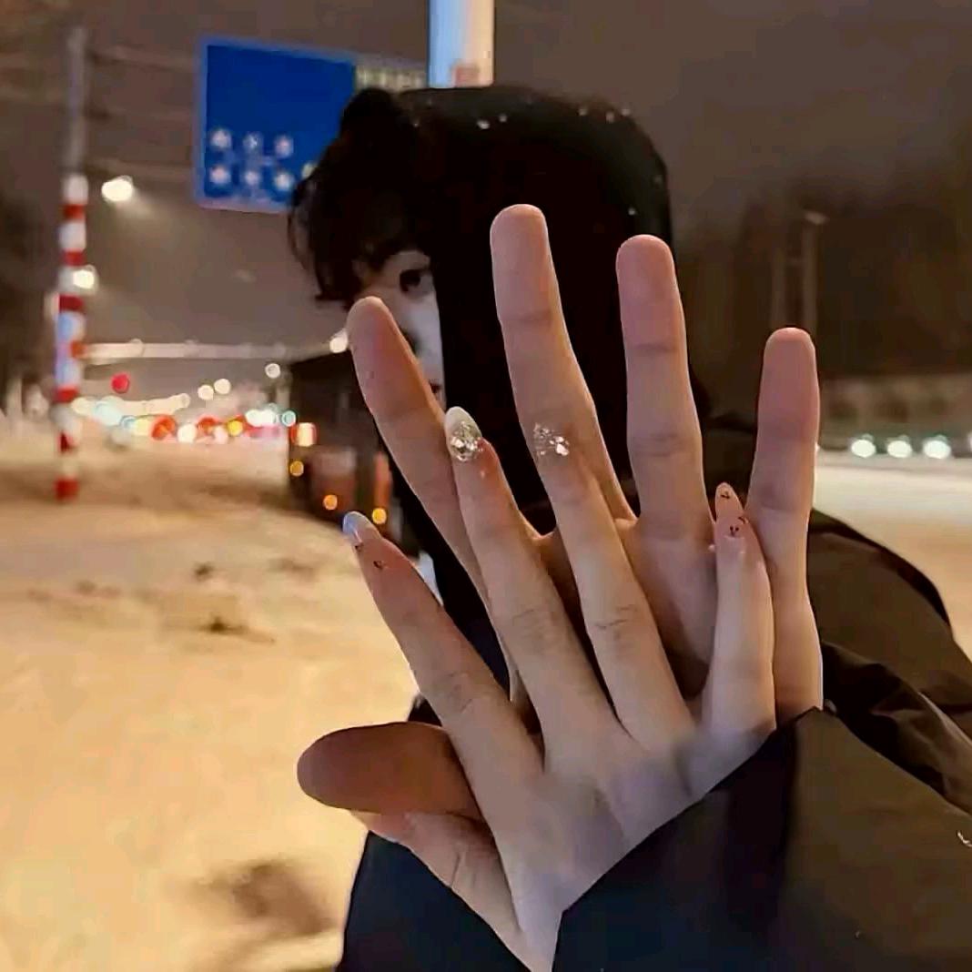 君似天上月