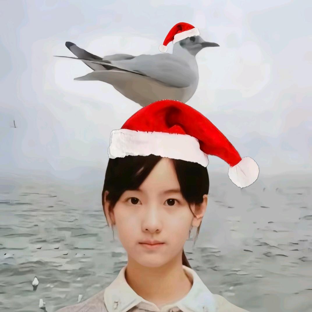 小记牌猫猫