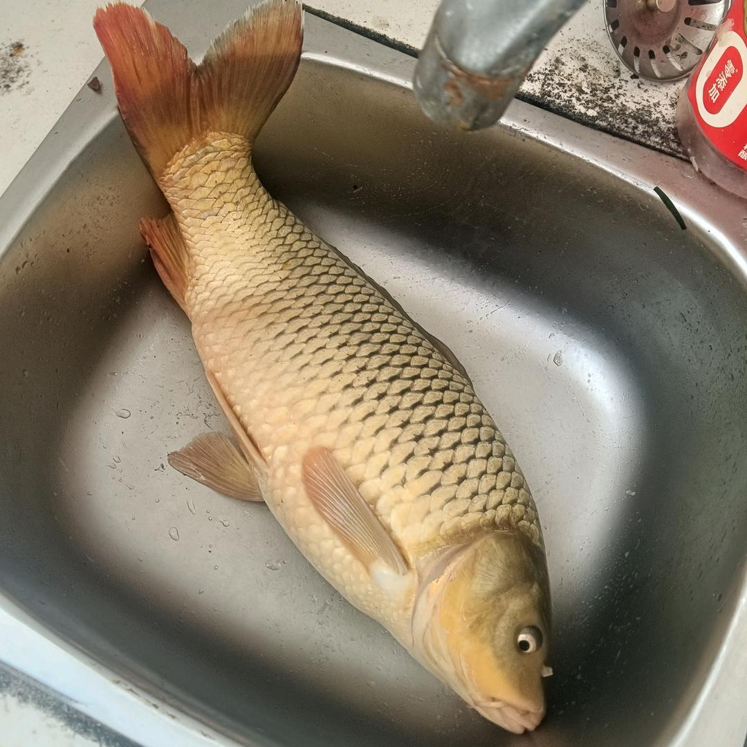 醉美泸州伴我行我是泸州合江人