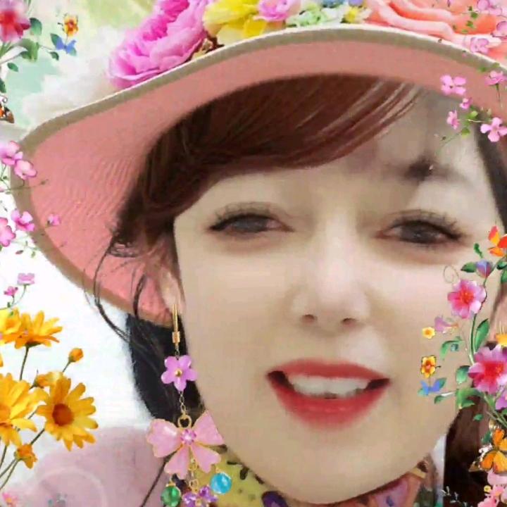 凤姨