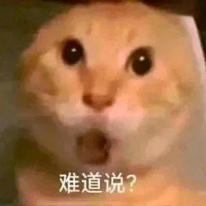 地主王大猫(三角洲行动)