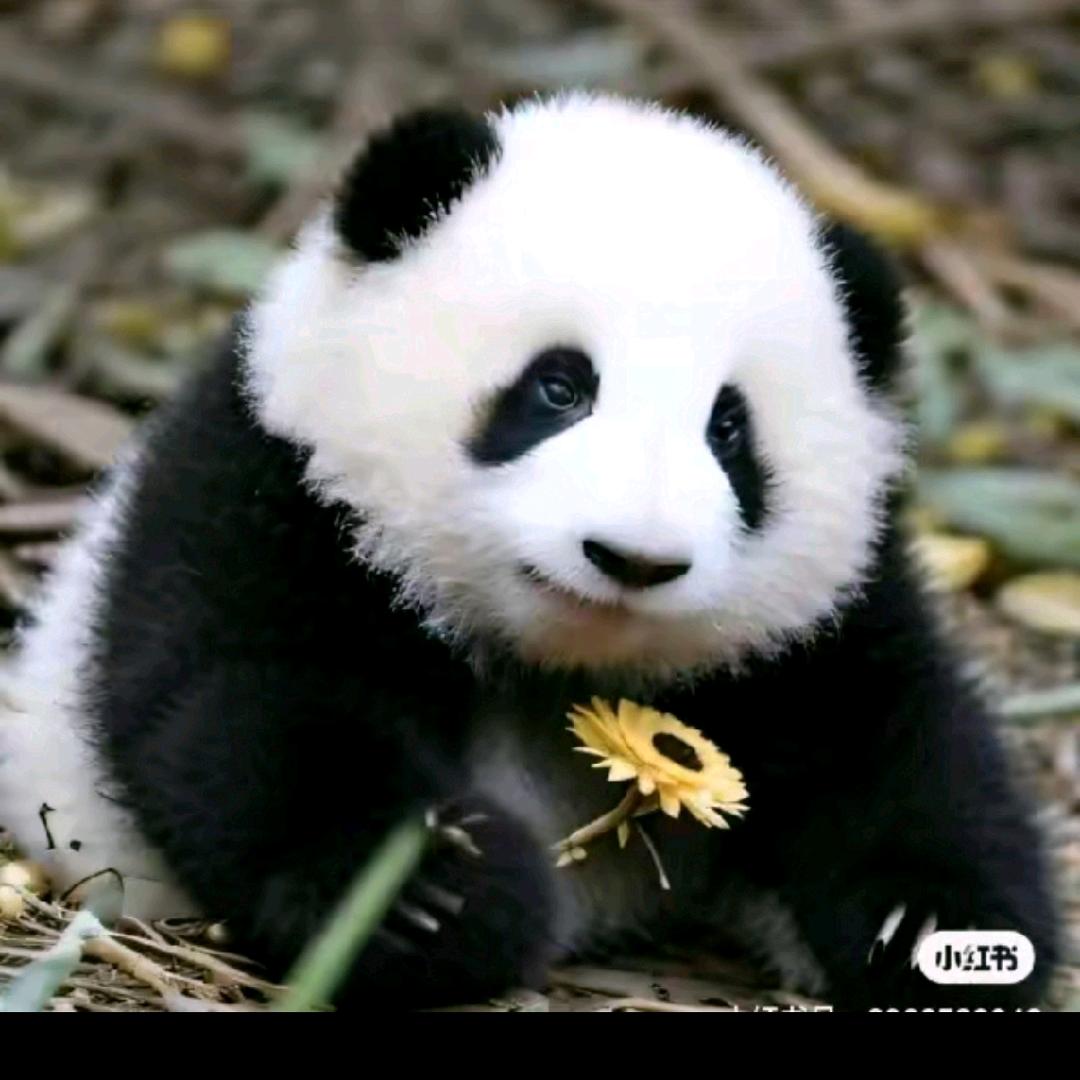 悬山秘境&沧海一宿