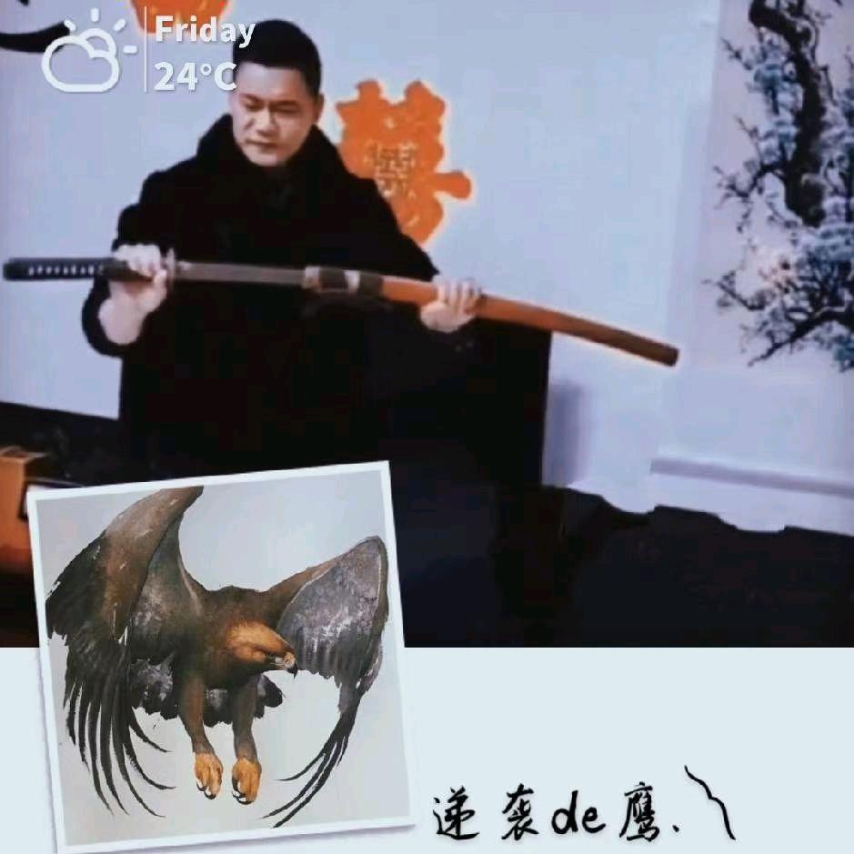 逆袭de鹰. ༽