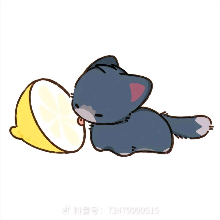 猫和老鼠越玩越红