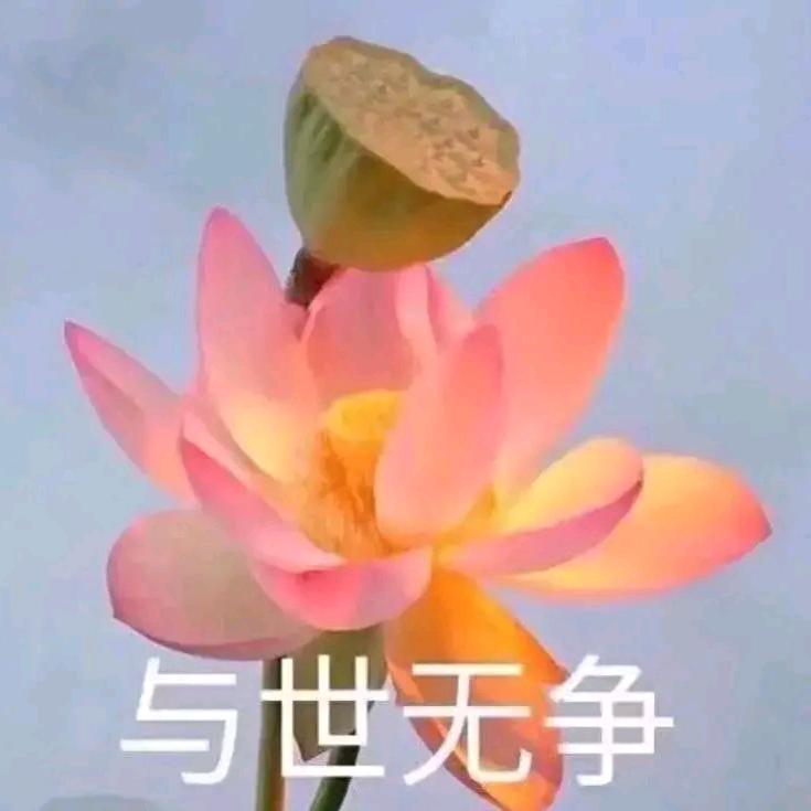 菜就多练。