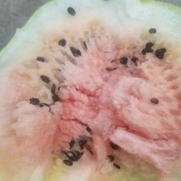 代发代购西瓜打瓜各种果蔬