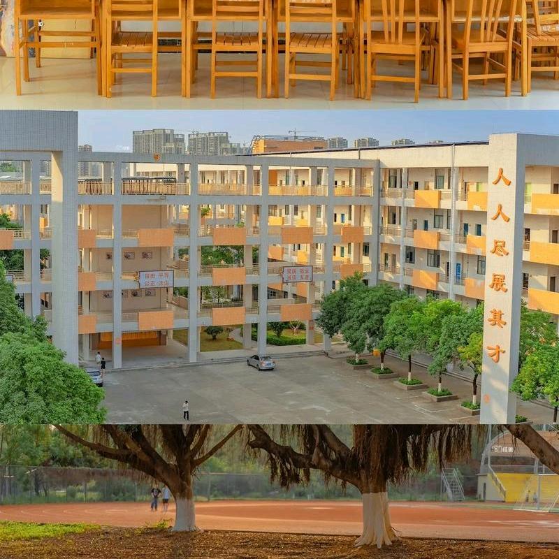 凌老师讲升学