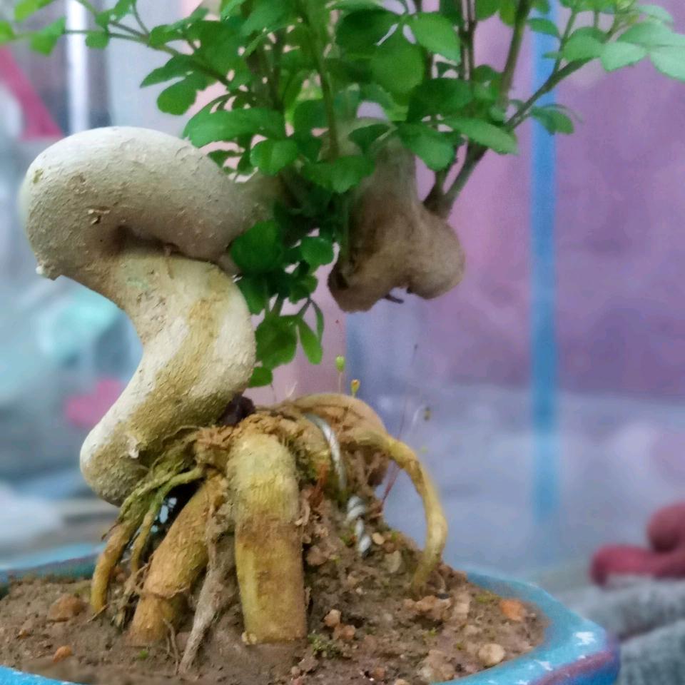 🌈渔海樵山🐠☃️