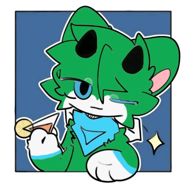枫雨是只猫猫龙🐾