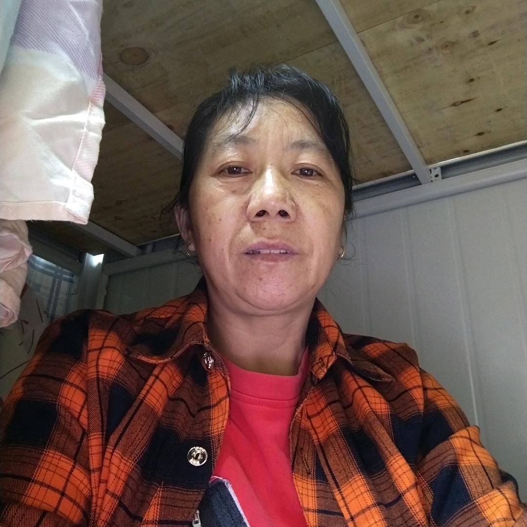 我的未来不是梦