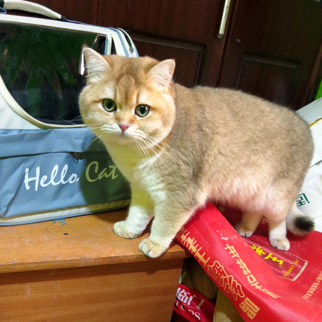 宁静致远