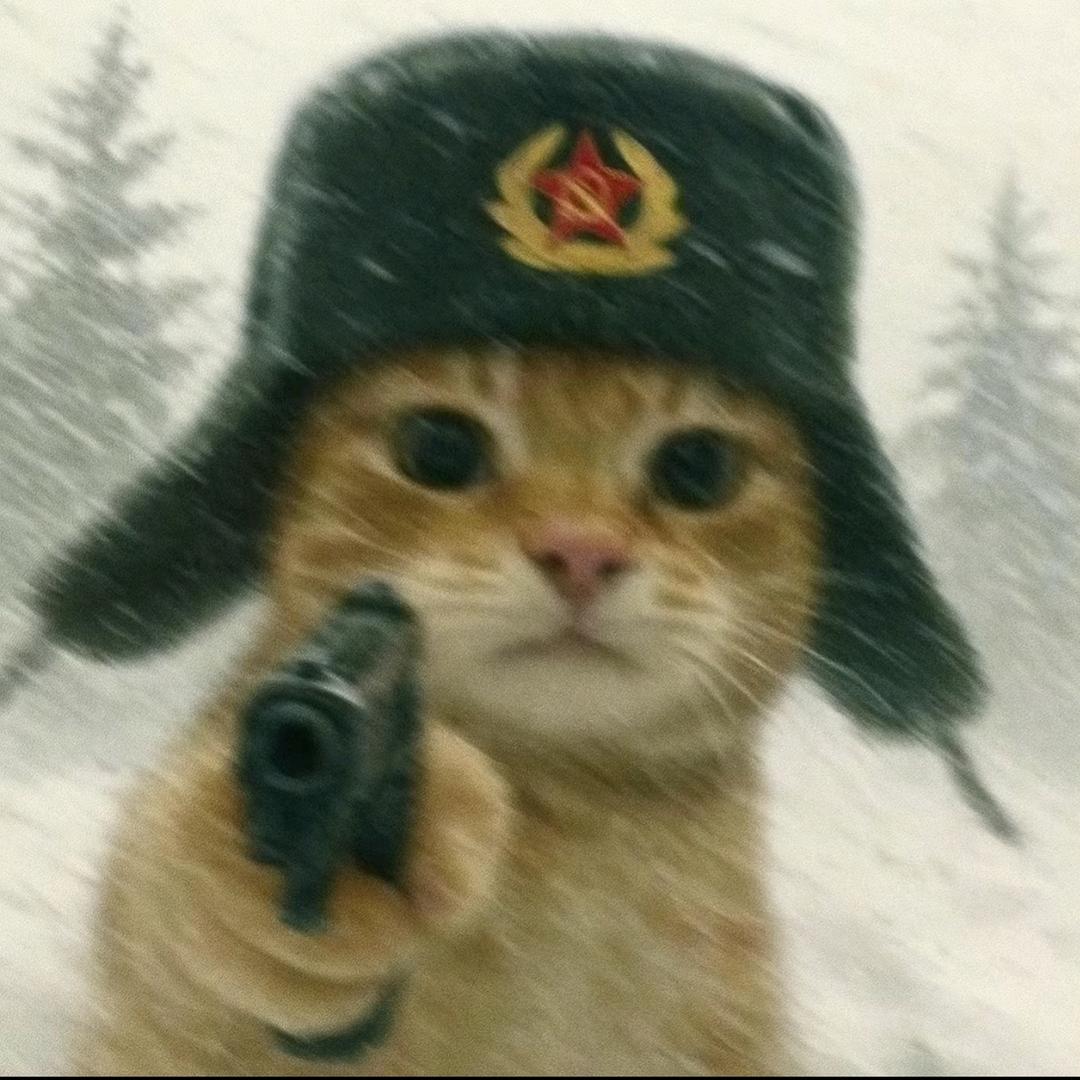 九十一