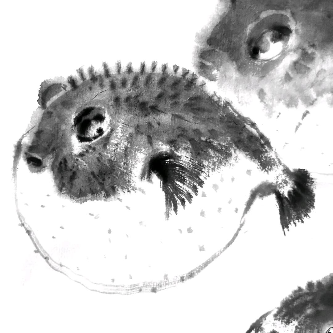 河豚🐡