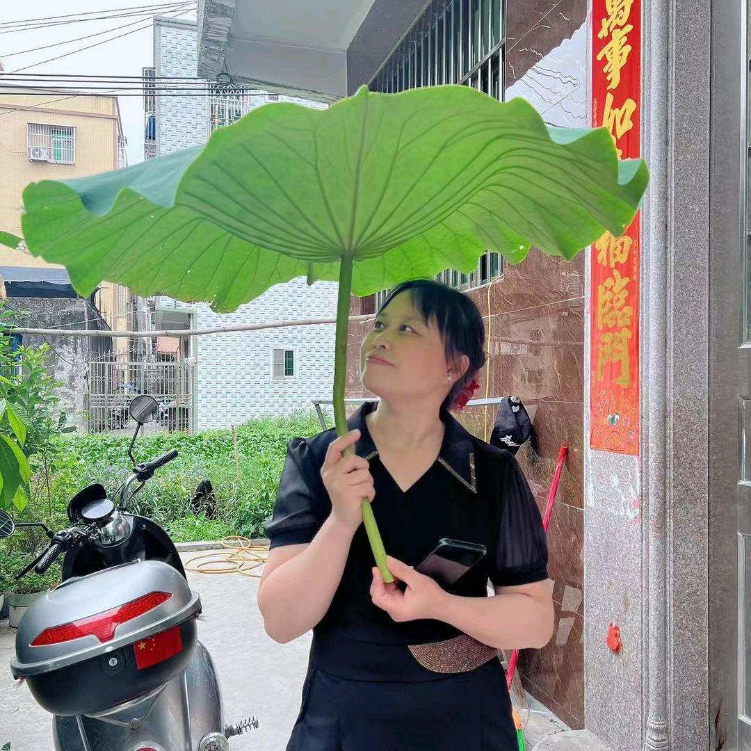 万物有因