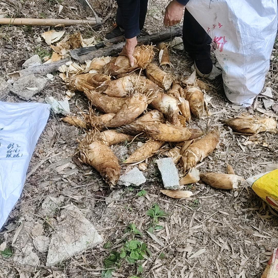 凡事忍耐