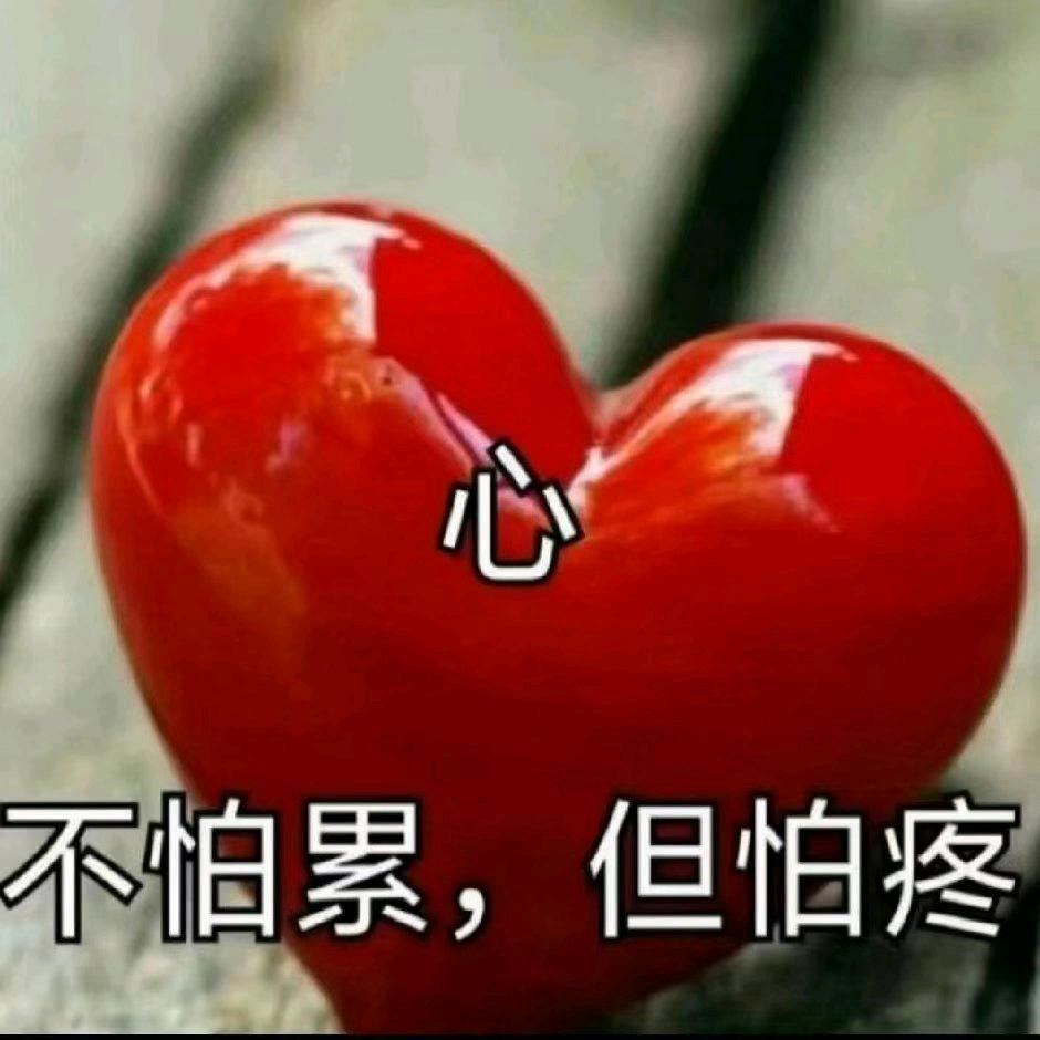 琴姐