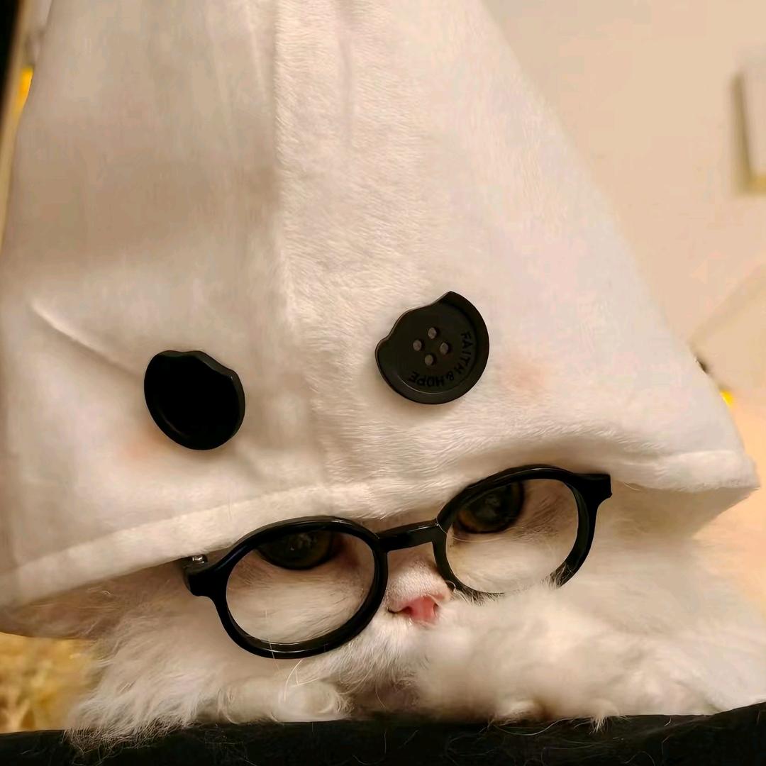 炸毛土豆饼