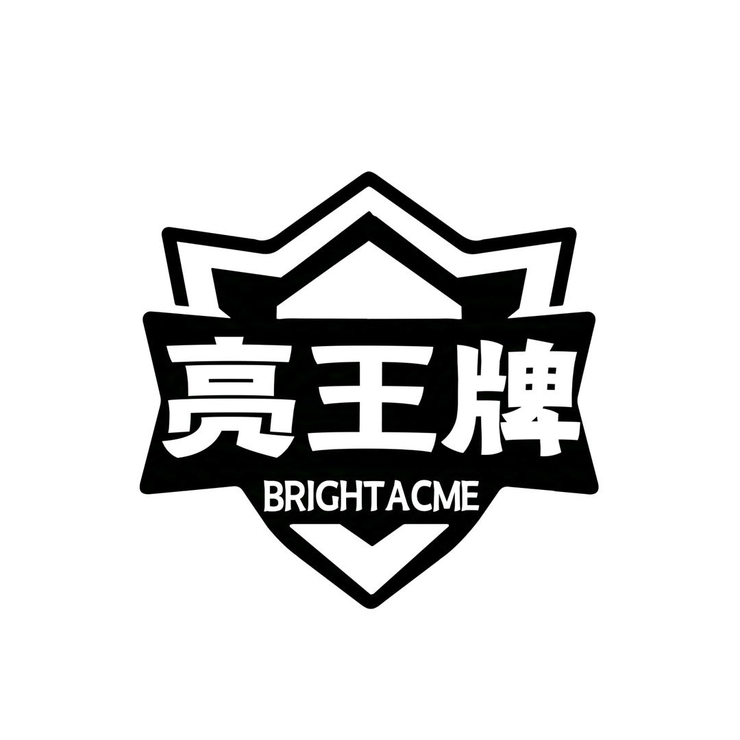 亮王牌户外装备旗舰店