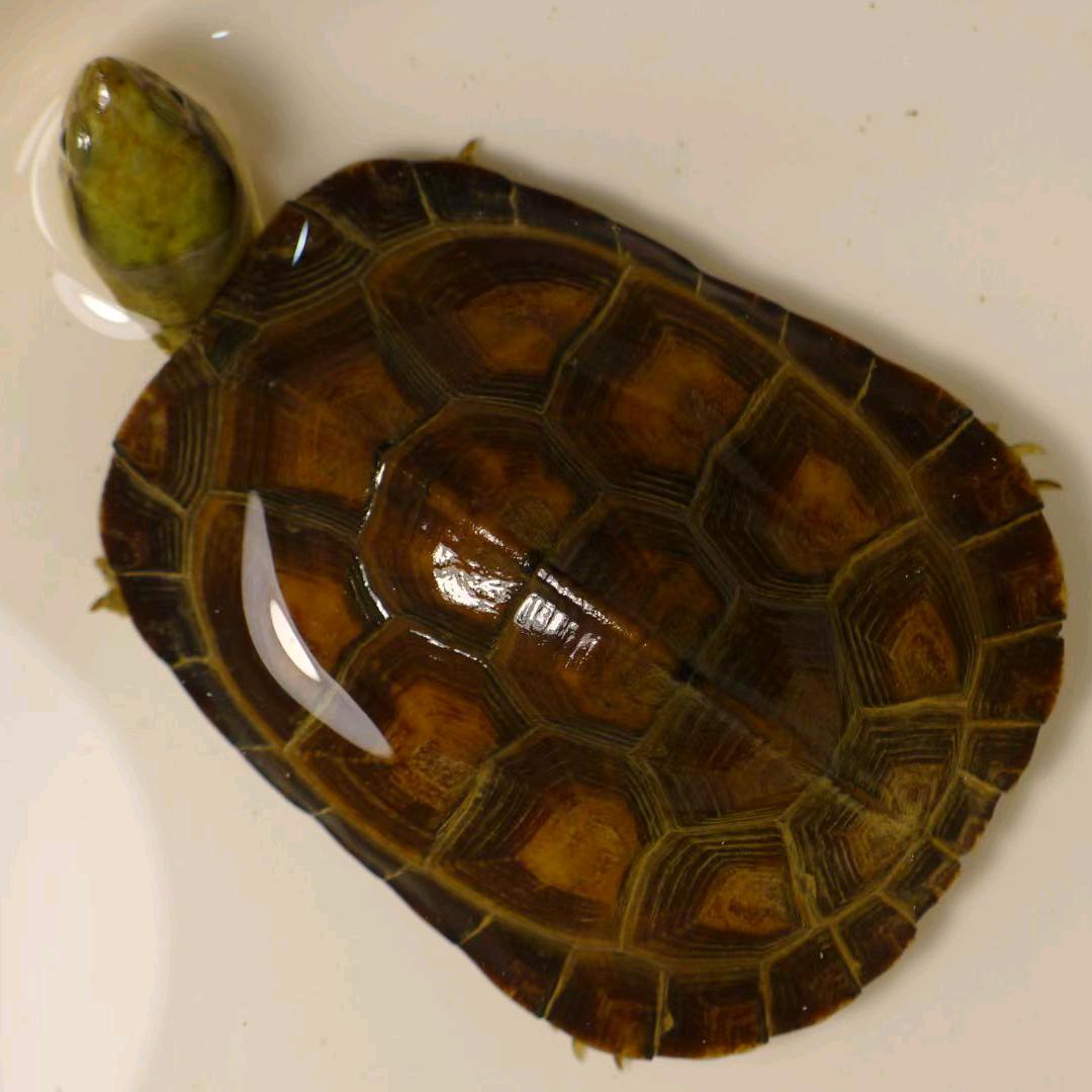 小雨清晨 臻选阁