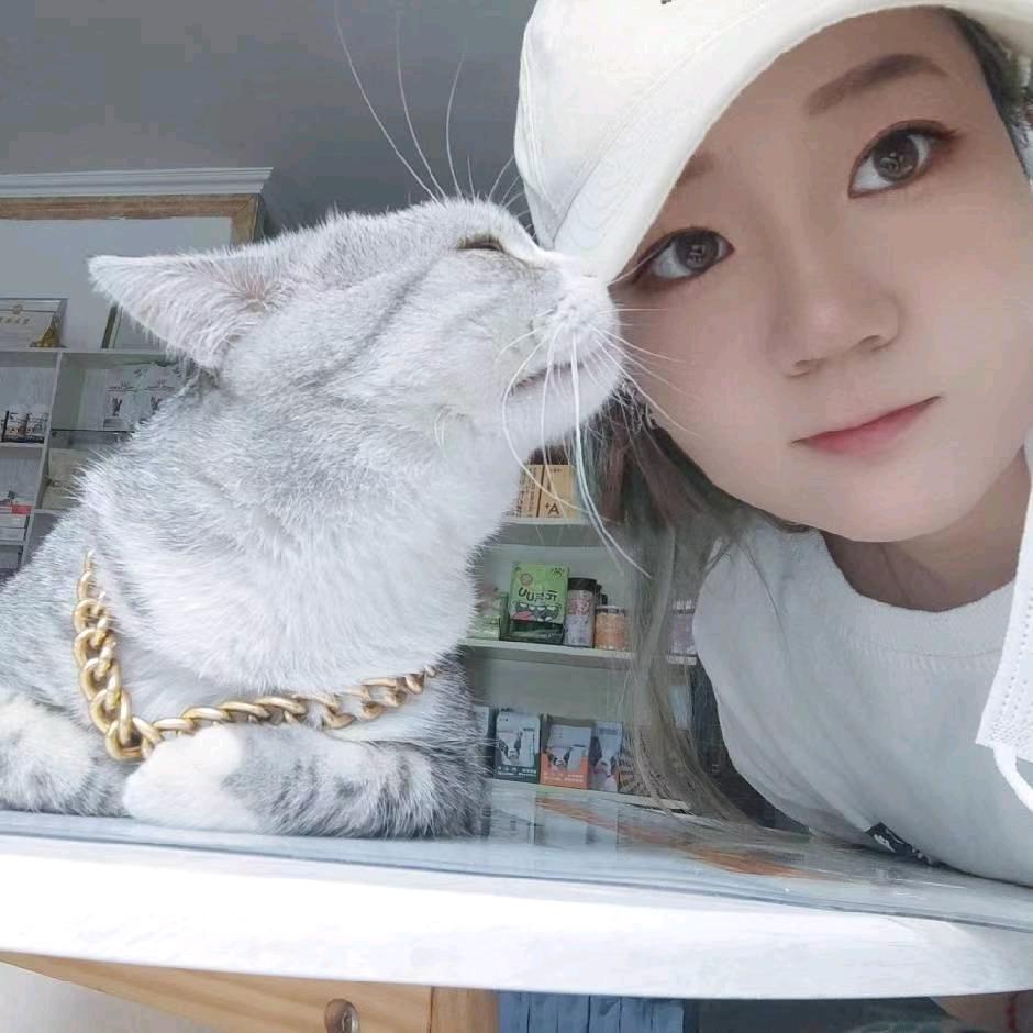 团子一家🐱