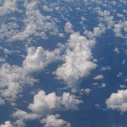 你好呀～曹女士～兰大小吃街螺蛳粉～拒私聊