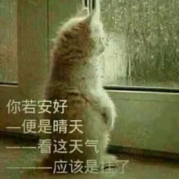 道，