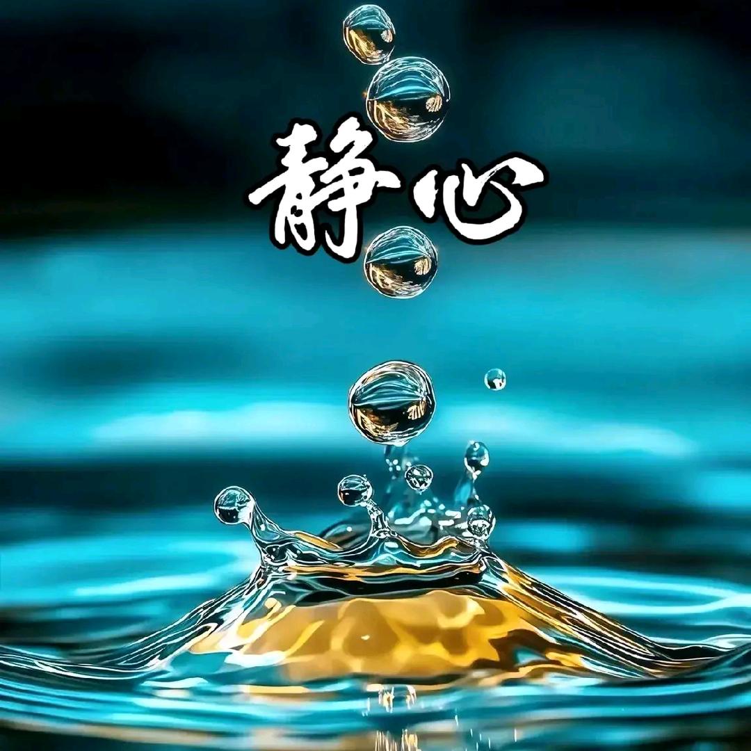 一悟