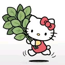小芋头