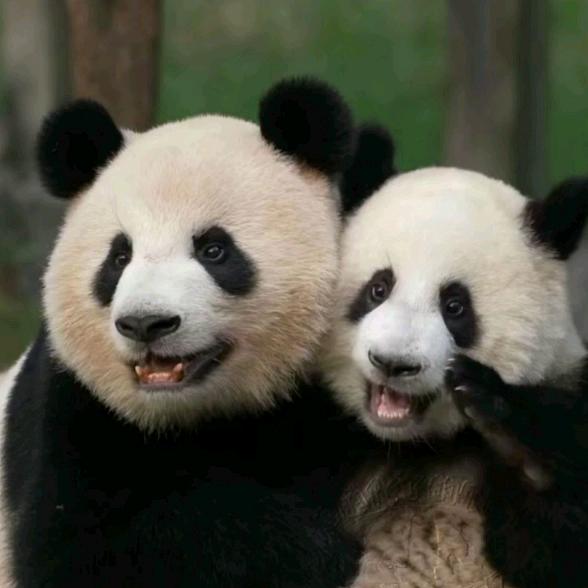 🌈草莓甜喵布丁小甜妹小甜心