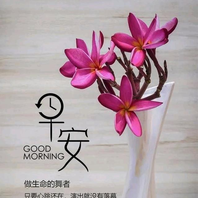 张哥在韩