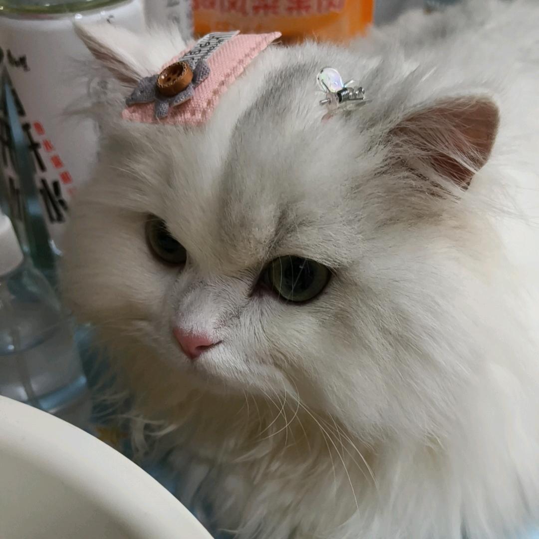 小小帅