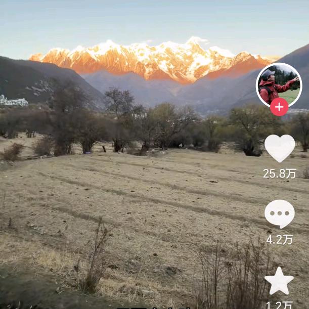 💫💫麦浪✨✨