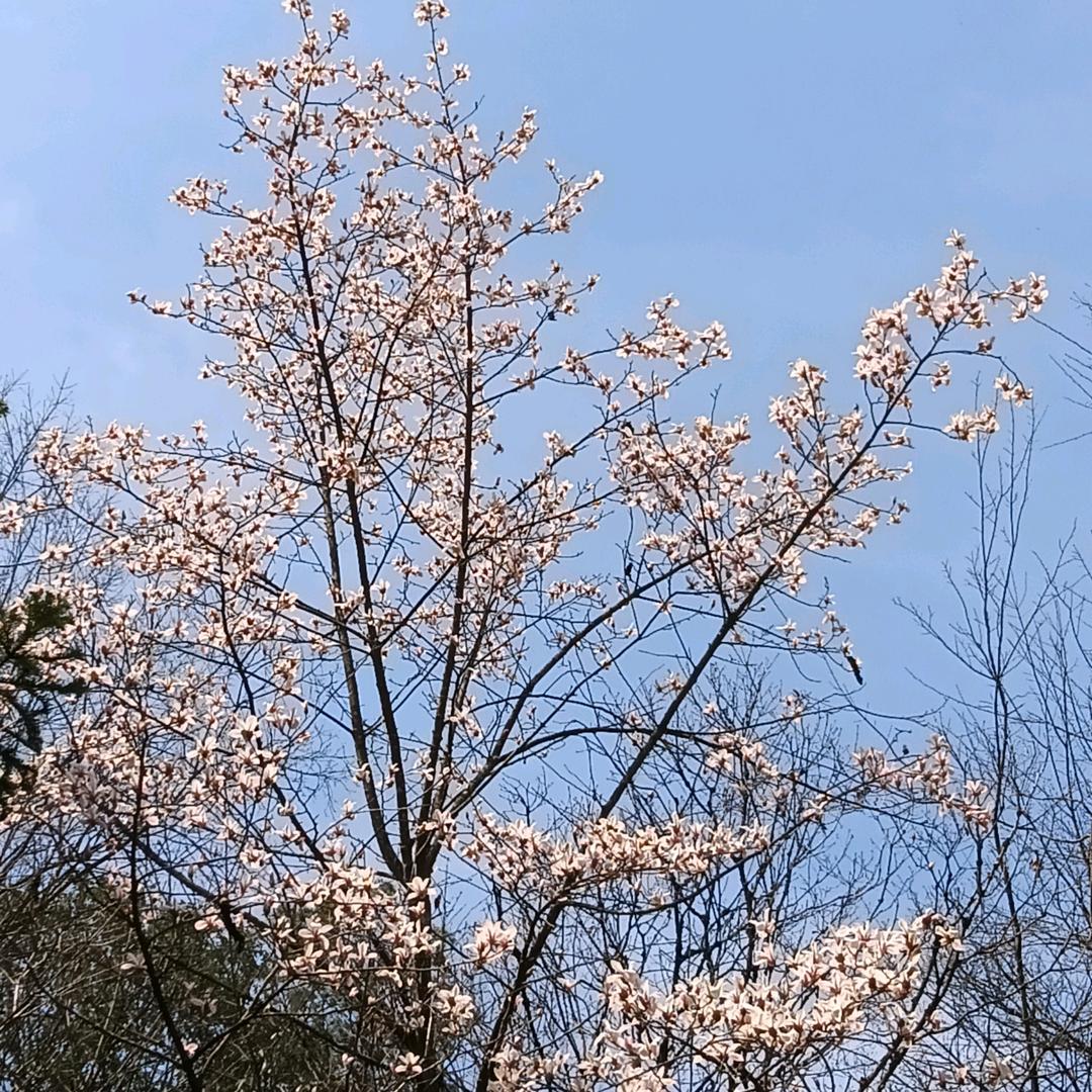 陈刚