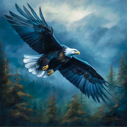 🌻放下执念🌻