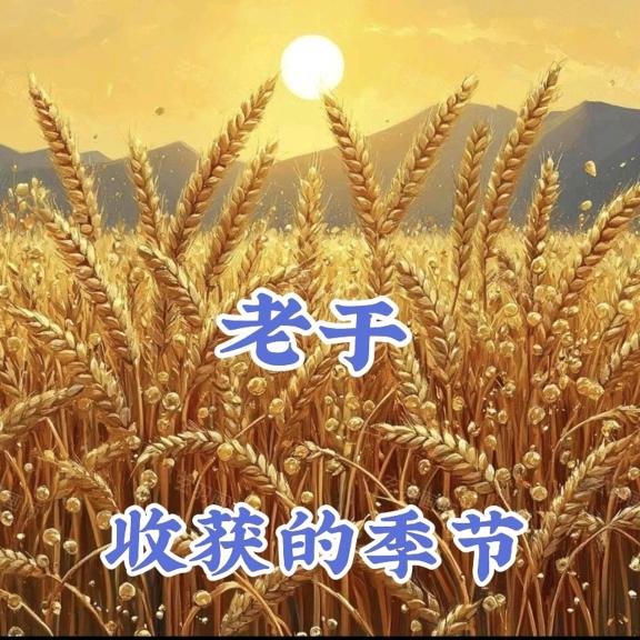 老于091