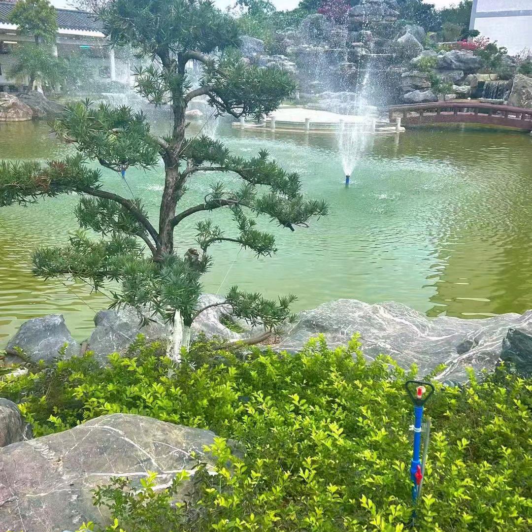 东✐.ɴɪᴄᴇ ᴅᴀʏ 〰